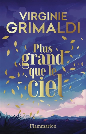 Plus grand que le ciel - Virginie Grimaldi