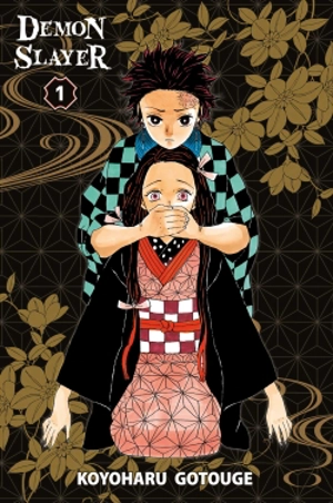 Demon slayer : Kimetsu no yaiba. Vol. 1 - Koyoharu Gotouge