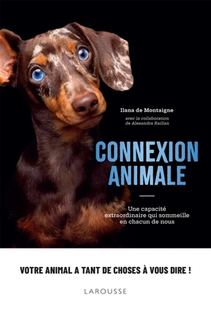 Connexion animale : une capacité extraordinaire qui sommeille en chacun de nous - Ilana de Montaigne