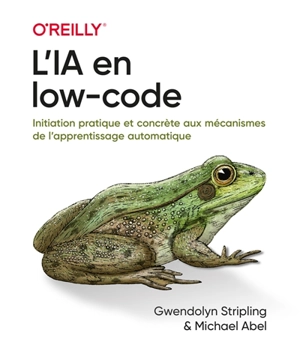 L'IA en low-code : initiation pratique et concrète aux mécanismes de l'apprentissage automatique - Gwendolyn Stripling