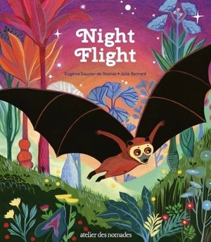 Night flight - Eugénie Sauzier-de Rosnay