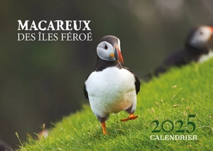 Macareux des îles Feroé : calendrier 2025 - Alessio Mesiano