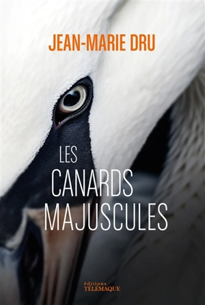 Les canards majuscules - Jean-Marie Dru