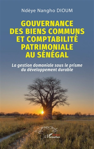 Gouvernance des biens communs et comptabilité patrimoniale au Sénégal : la gestion domaniale sous le prisme du développement durable - Ndèye Dioum