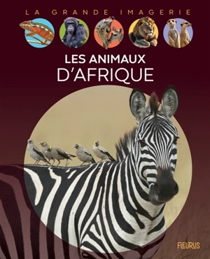 Les animaux d'Afrique - Sabine Boccador