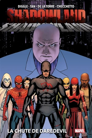 Shadowland. Vol. 1. La chute de Daredevil - Andy Diggle