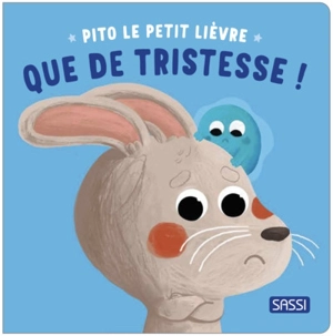 Pito le petit lièvre : que de tristesse ! - Claudia Denti