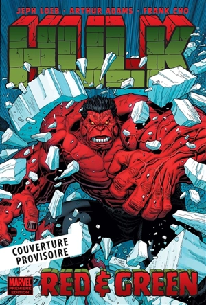 Hulk. Qui est le Hulk rouge ? - Jeph Loeb