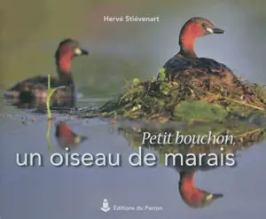 Petit bouchon, un oiseau de marais - Hervé Stiévenart