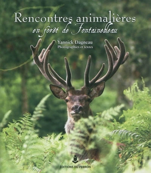 Rencontres animalières en forêt de Fontainebleau - Yannick Dagneau