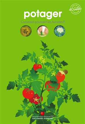 Potager : comment poussent les tomates ? - Sophie Lamoureux