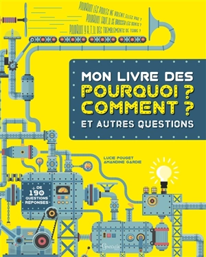 Mon livre des pourquoi ? comment ? : et autres questions : + de 190 questions réponses - Lucie Pouget