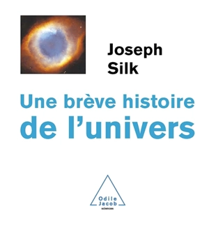 Une brève histoire de l'Univers - Joseph Silk