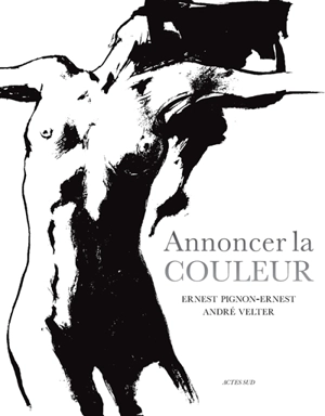 Annoncer la couleur - Ernest Pignon-Ernest