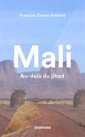 Mali : au-delà du jihad - François-Xavier Freland