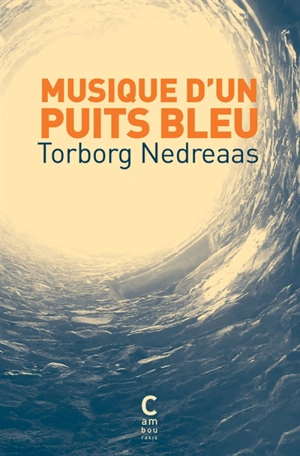 Musique d'un puits bleu - Torborg Nedreaas
