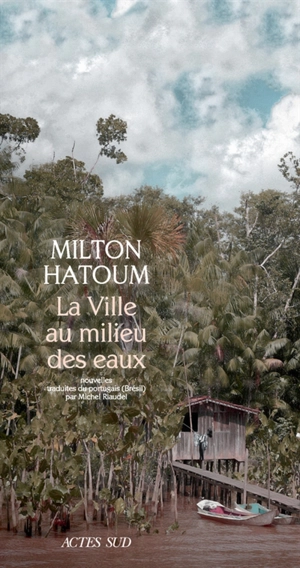 La ville au milieu des eaux - Milton Hatoum