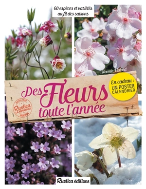 Des fleurs toute l'année : 60 espèces et variétés au fil des saisons - Noémie Vialard