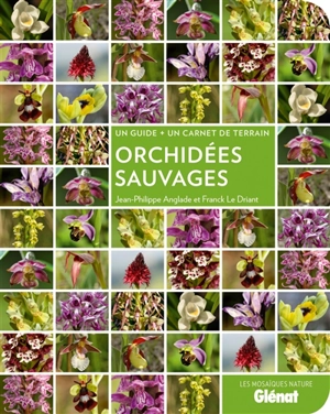 Orchidées sauvages - Jean-Philippe Anglade