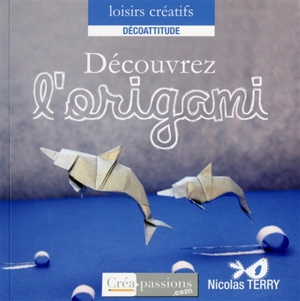 Découvrez l'origami - Nicolas Terry