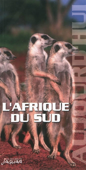 L'Afrique du Sud aujourd'hui - Anne Dissez