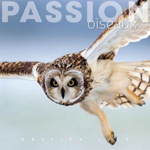 Passion oiseaux - Bastien Juif