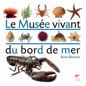 Le musée vivant du bord de mer - Sonia Dourlot