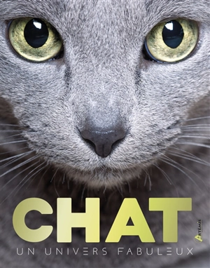 Chats : un univers fabuleux - Emmanuelle Dal'Secco