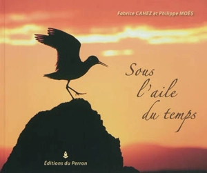 Sous l'aile du temps - Fabrice Cahez