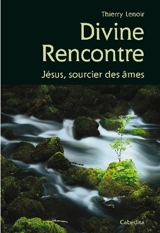 Divine rencontre : Jésus, sourcier des âmes - Thierry Lenoir
