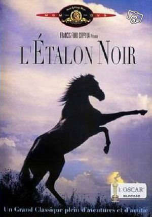 L'Etalon noir : The Black Stallion - Carroll Ballard