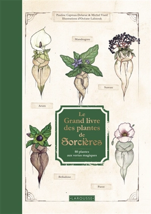 Le grand livre des plantes de sorcières : 80 plantes aux vertus magiques - Pauline Capmas-Delarue