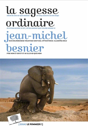 La sagesse ordinaire - Jean-Michel Besnier