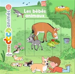 Les bébés animaux - Anne Morel