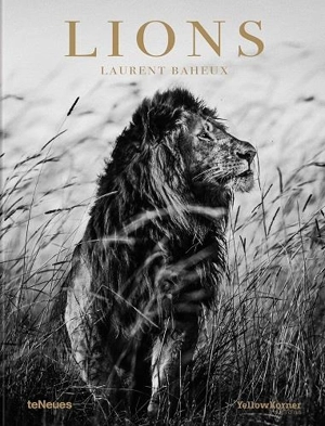 Lions - Laurent Baheux