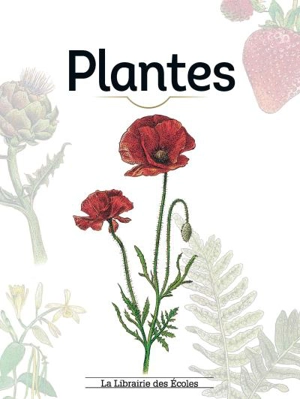 Plantes - Lisa Garnier