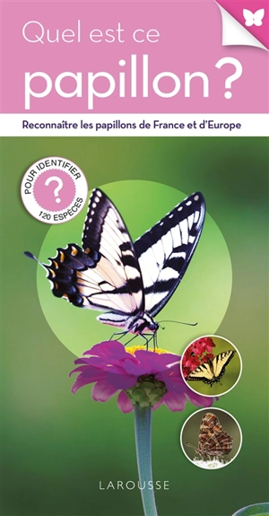 Quel est ce papillon ? - Tom Jackson