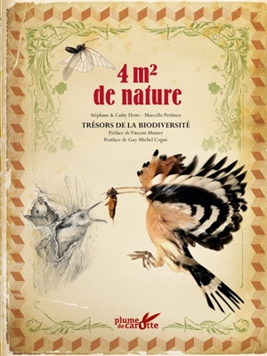 4 m2 de nature : trésors de la biodiversité - Stéphane Hette