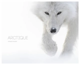 Arctique - Vincent Munier