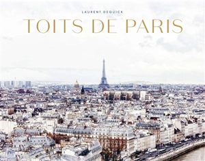 Toits de Paris - Laurent Dequick