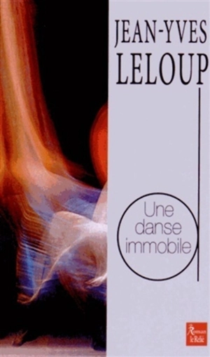 Une danse immobile - Jean-Yves Leloup