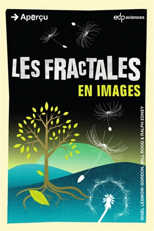 Les fractales en images - Nigel Lesmoir-Gordon