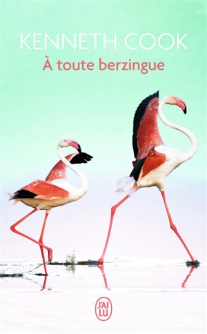 A toute berzingue - Kenneth Cook