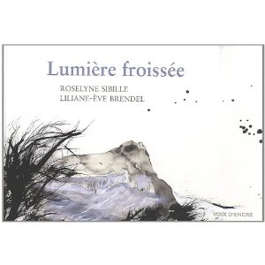 Lumière froissée - Roselyne Sibille