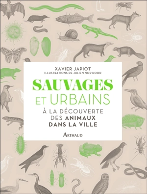 Sauvages et urbains : à la découverte des animaux dans la ville - Xavier Japiot