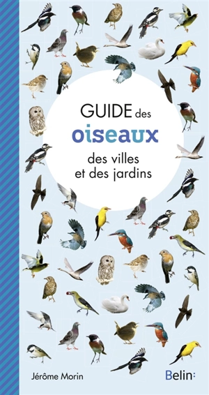 Guide des oiseaux des villes et des jardins - Jérôme Morin