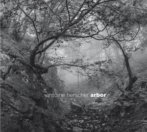 Arbor - Antoine Herscher