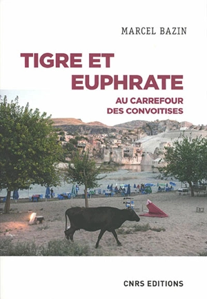 Tigre et Euphrate : au carrefour des convoitises - Marcel Bazin