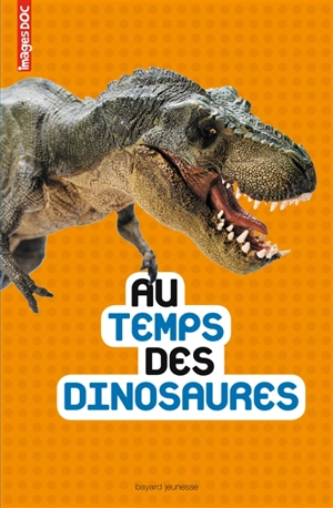 Au temps des dinosaures - Marc Beynié