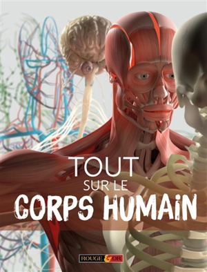 Tout sur le corps humain - Patricia Macnair